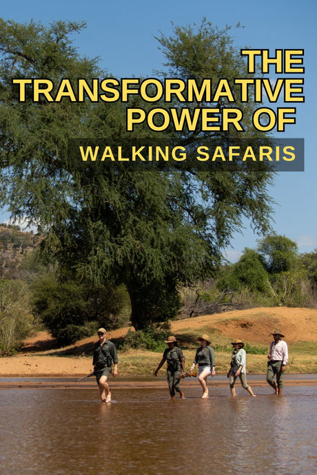 The Transformative Power of Walking Safaris