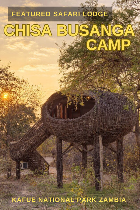 Featured Safari Camp - Chisa, Busanga Camp | Kafue National Park, Zambia