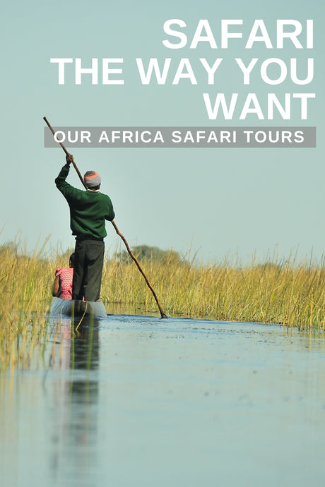 Safari The Way You Want - Types Of Tours We Offer