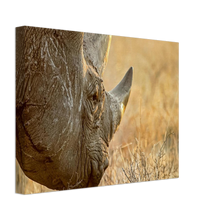 Load image into Gallery viewer, Canvas | Africa (Botswana) - Rhino (Late Afternoon Graze)
