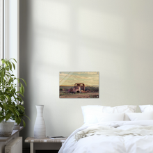 Load image into Gallery viewer, Acrylic Print  | South Australia - Alone In The Outback
