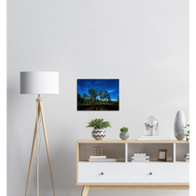 Load image into Gallery viewer, Canvas | Under The Moonlight
