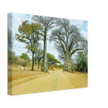 Load image into Gallery viewer, Canvas | Africa (Botswana) - Baobabs

